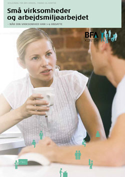 Arbejdsmiljø 1-9 ansatte